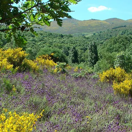 酒店 Restaurante Goya *