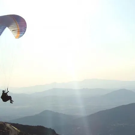 Restaurante Goya * 佩德拉希塔